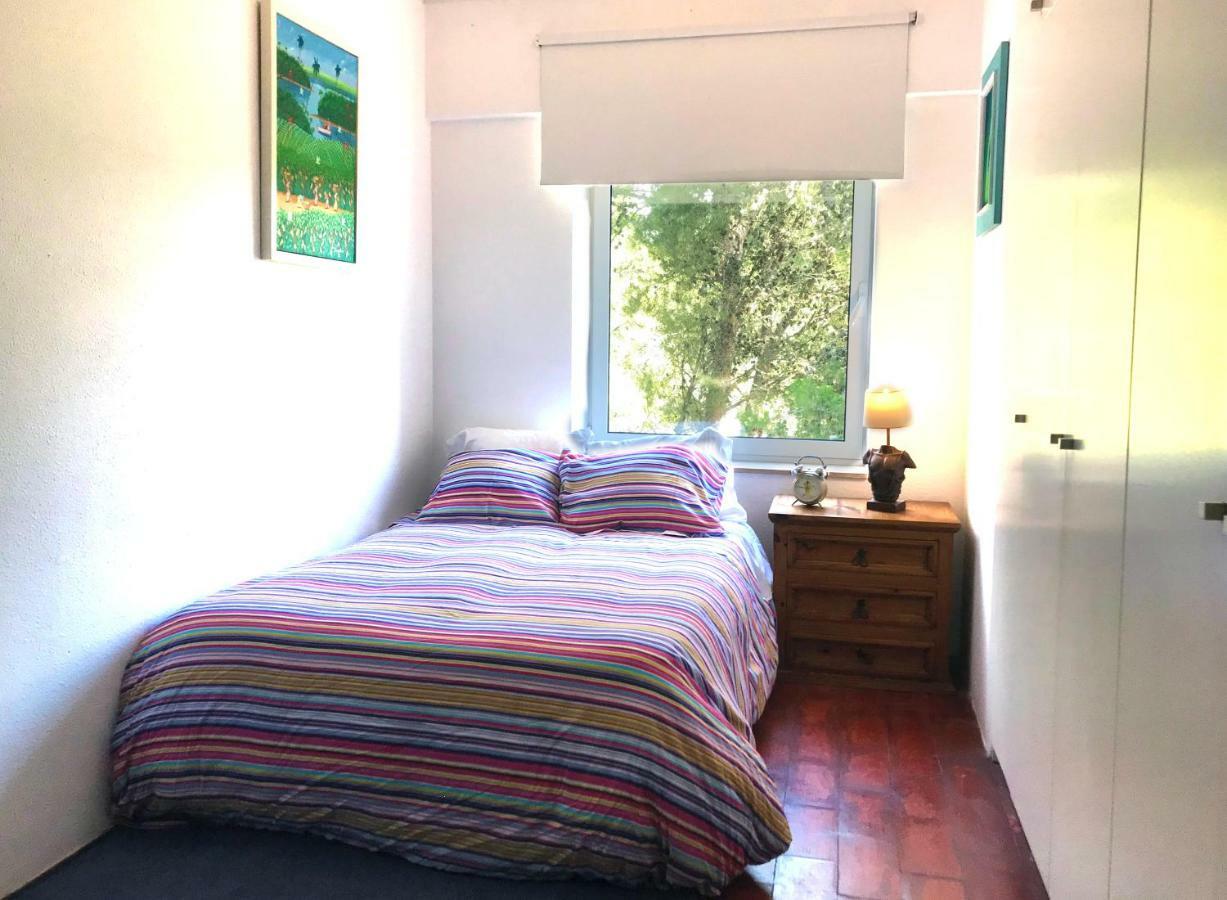 Dream Iv Appartement